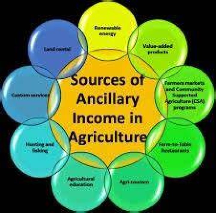 Ancillary activity - How To Discuss