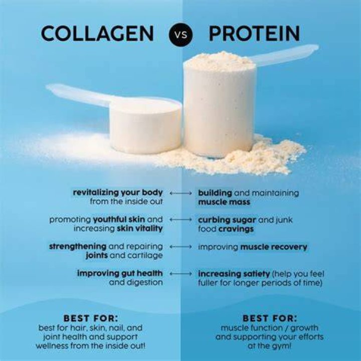 Best collagen protein powder - How To Discuss
