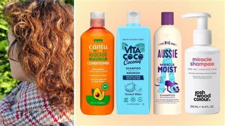best shampoo for curly hair men