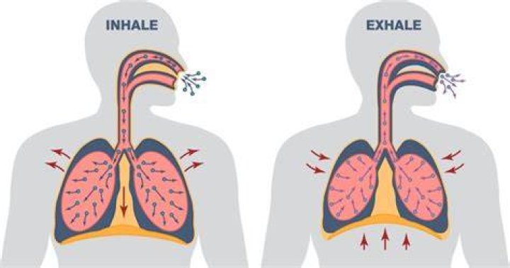 Breathing
