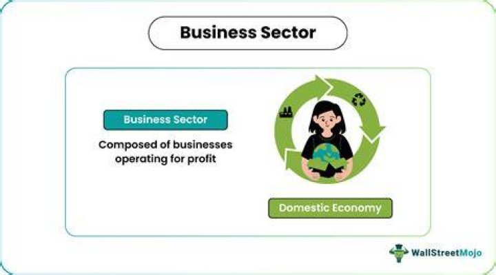 Business sector - How To Discuss