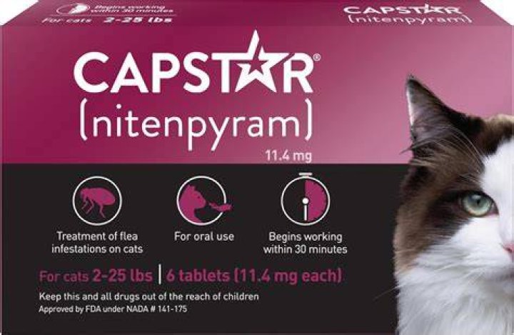 Capstar For Cats - How To Discuss