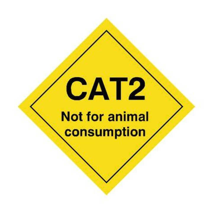 :cat2: