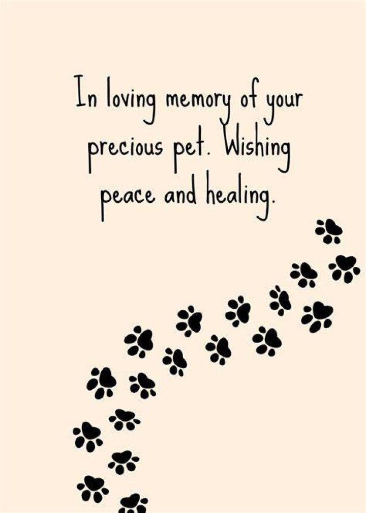 condolences for loss of pet