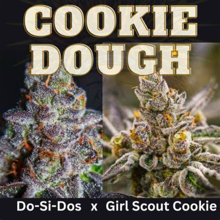 cookie dough strain
