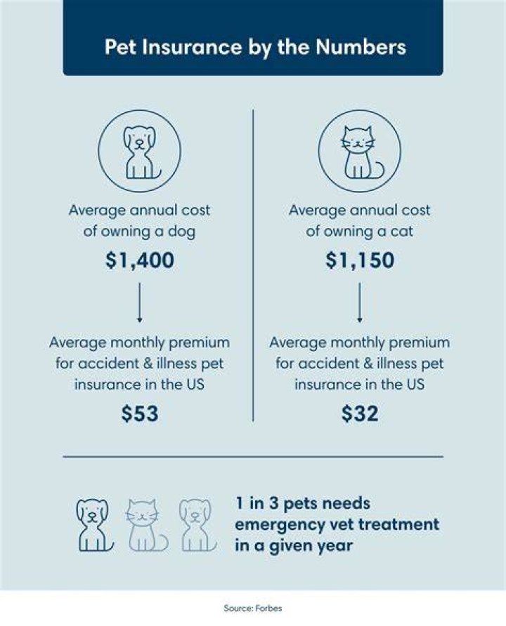 cost of dog insurance
