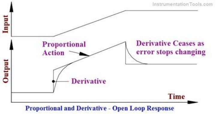 Derivative action - How To Discuss
