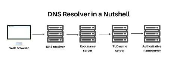 dns resolver