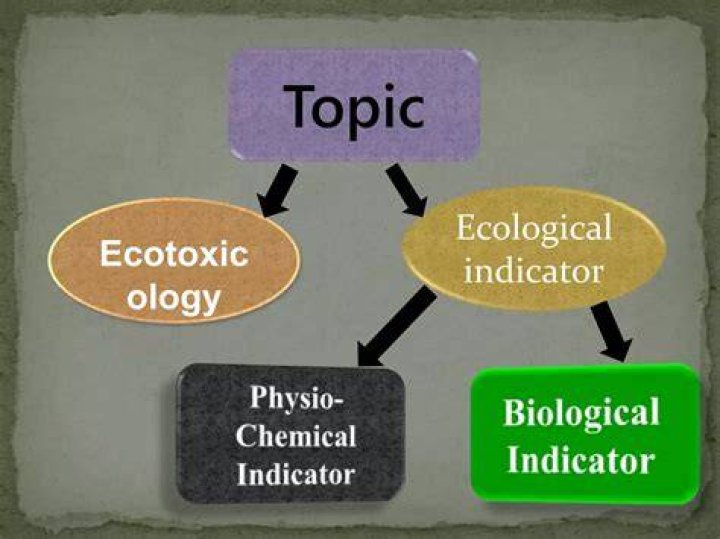Ecological indicator - How To Discuss