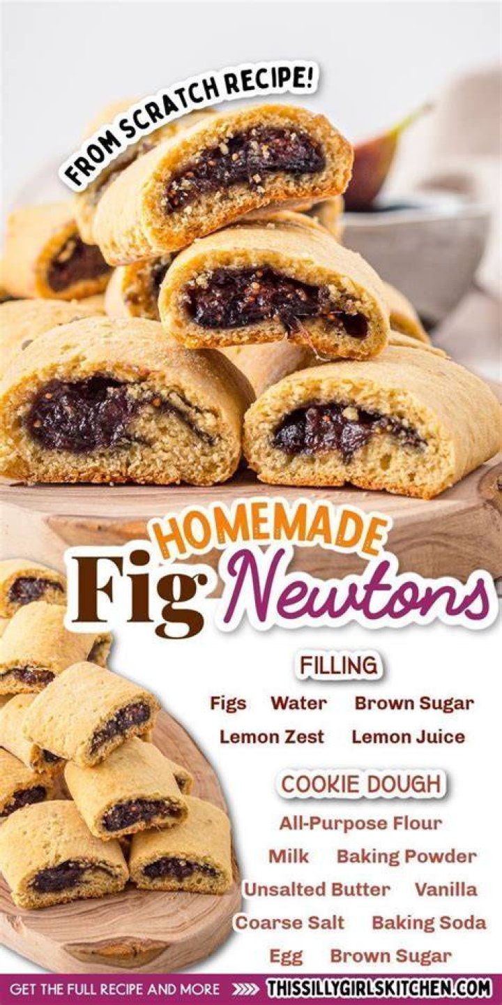 Fig Newton Bug Parts - How To Discuss