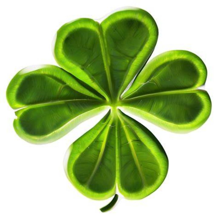 :four_leaf_clover: