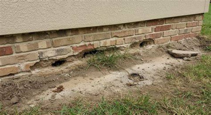 Holes Around House Foundation - How To Discuss
