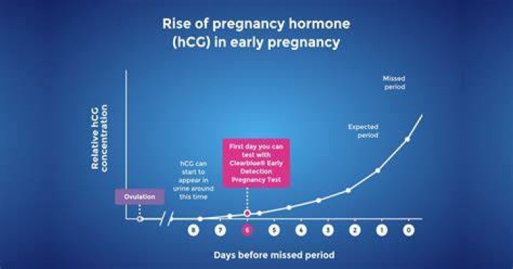How early can a pregnancy test detect