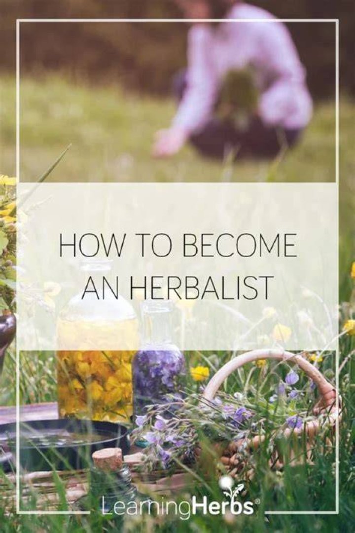 how to become an herbalist