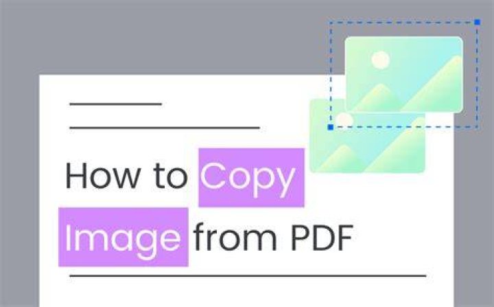how to copy from pdf to word