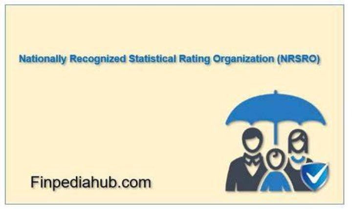 Nationally Recognized Statistical Ratings Organization (NRSRO)