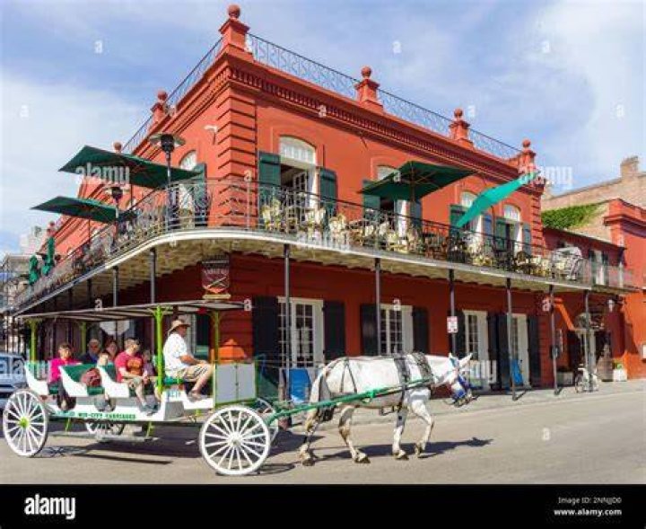 new orleans creole