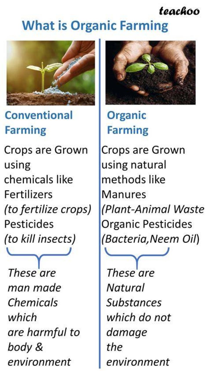 Organic farming - How To Discuss