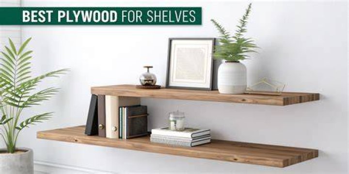 Plywood shelves - How To Discuss