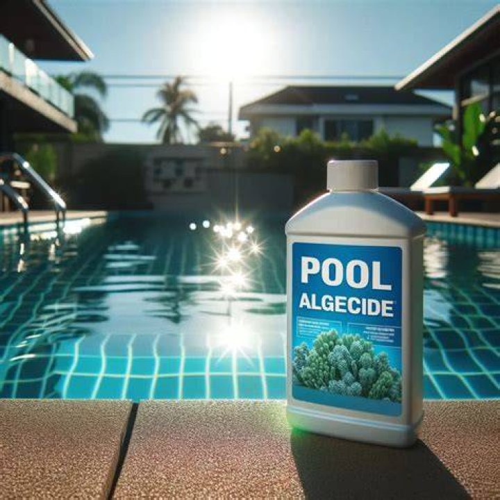 Pool algaecide - How To Discuss