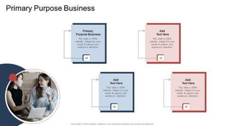 Primary business purpose - How To Discuss
