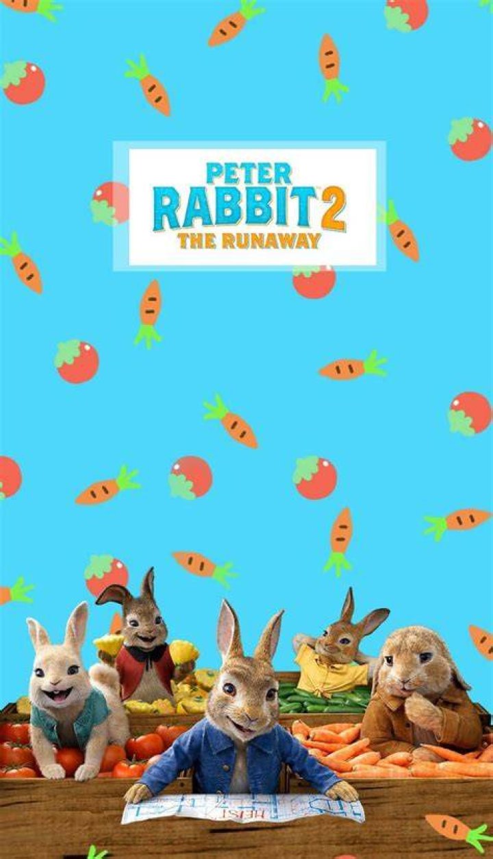 :rabbit2: