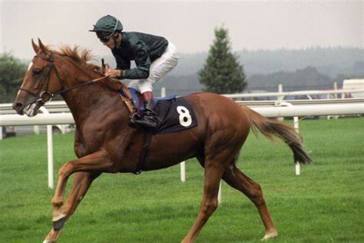 :racehorse: