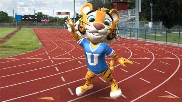 School Mascot Ideas - How To Discuss