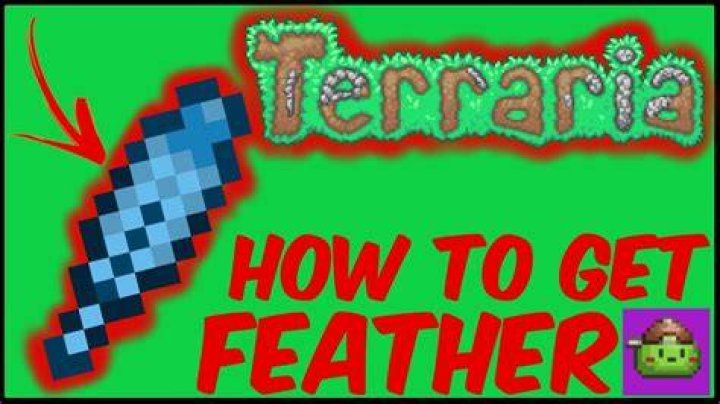 Terraria Feather - How To Discuss