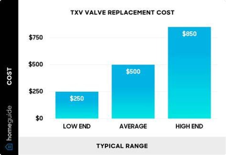 Txv Valve Replacement Cost - How To Discuss