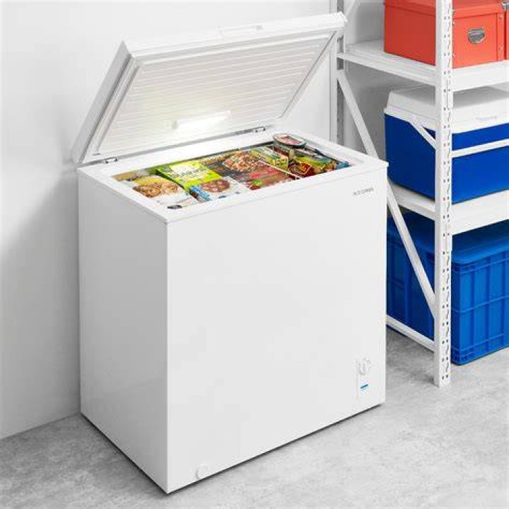 What Is A Garage Ready Freezer