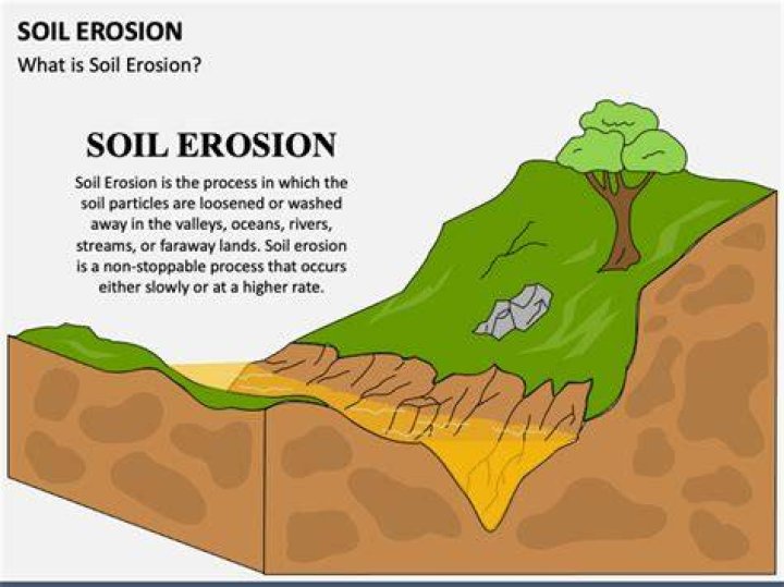 What is soil erosion - How To Discuss